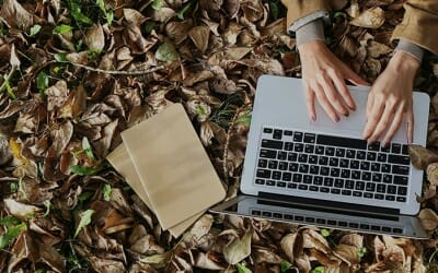 Introducing Comprehensive WordPress Support by Barrel Roll