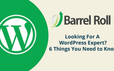 Looking For A WordPress Expert? 6 Things You Need to Know